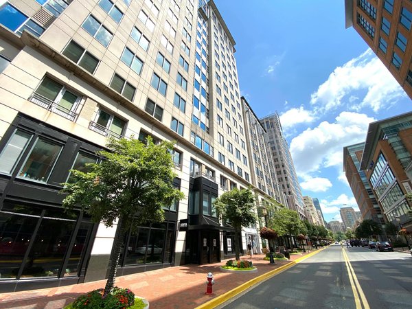 Paillage ardoise inconvénient : quels risques pour votre jardin ?