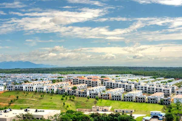 Choisir la bonne tête de débroussailleuse pour votre jardin