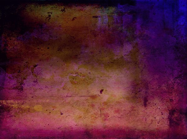 Quelles plantes pour créer un jardin d'ombre urbain?